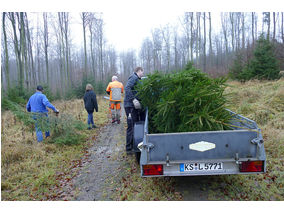 Es weihnachtet in St. Crescentius (Foto: Karl-Franz Thiede)